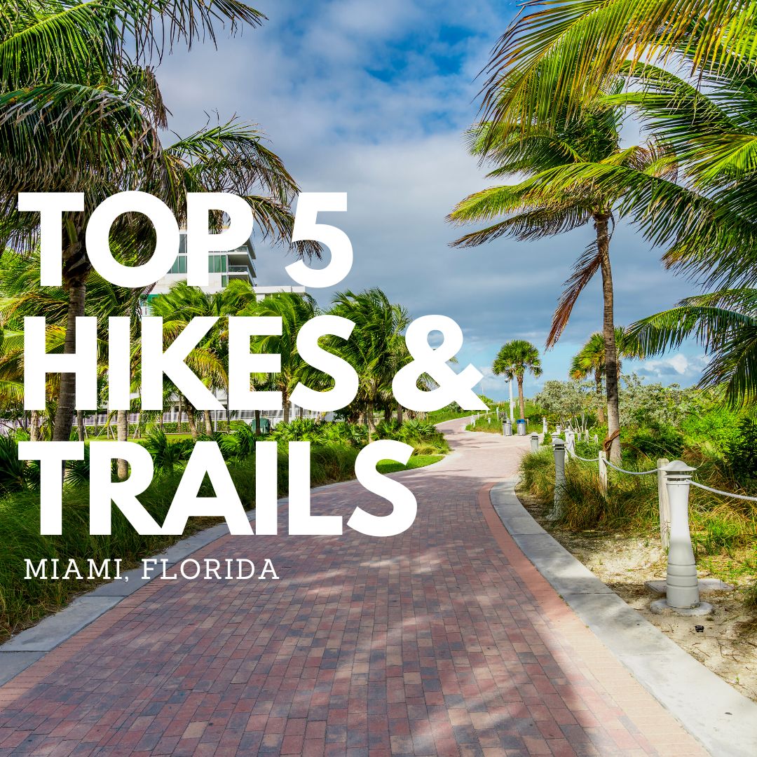 Top 5 Hikes and Trails in Miami, Florida