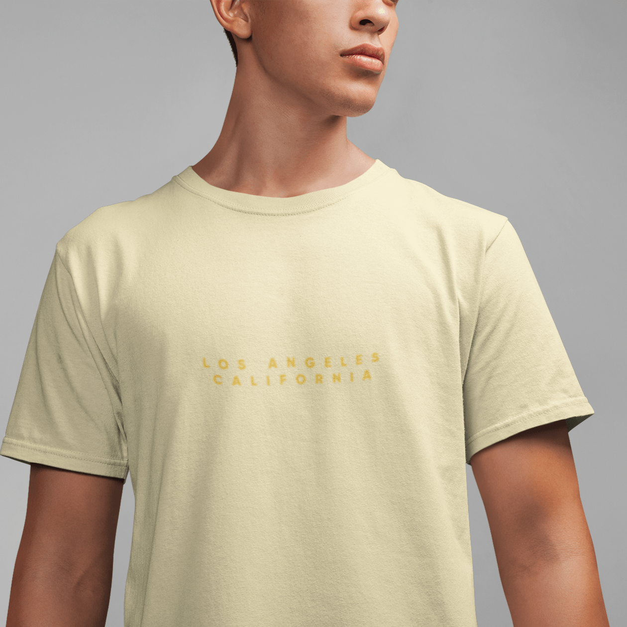 City Shirt Co Los Angeles City Comfort T-Shirt